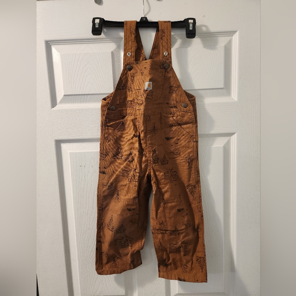 Boys 3t Carharrt overalls and pull over hooded sweatshirt